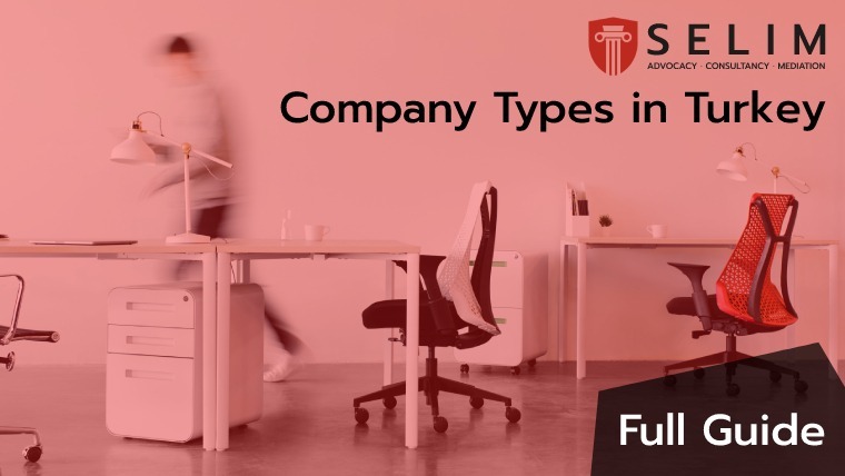 company types in turkey