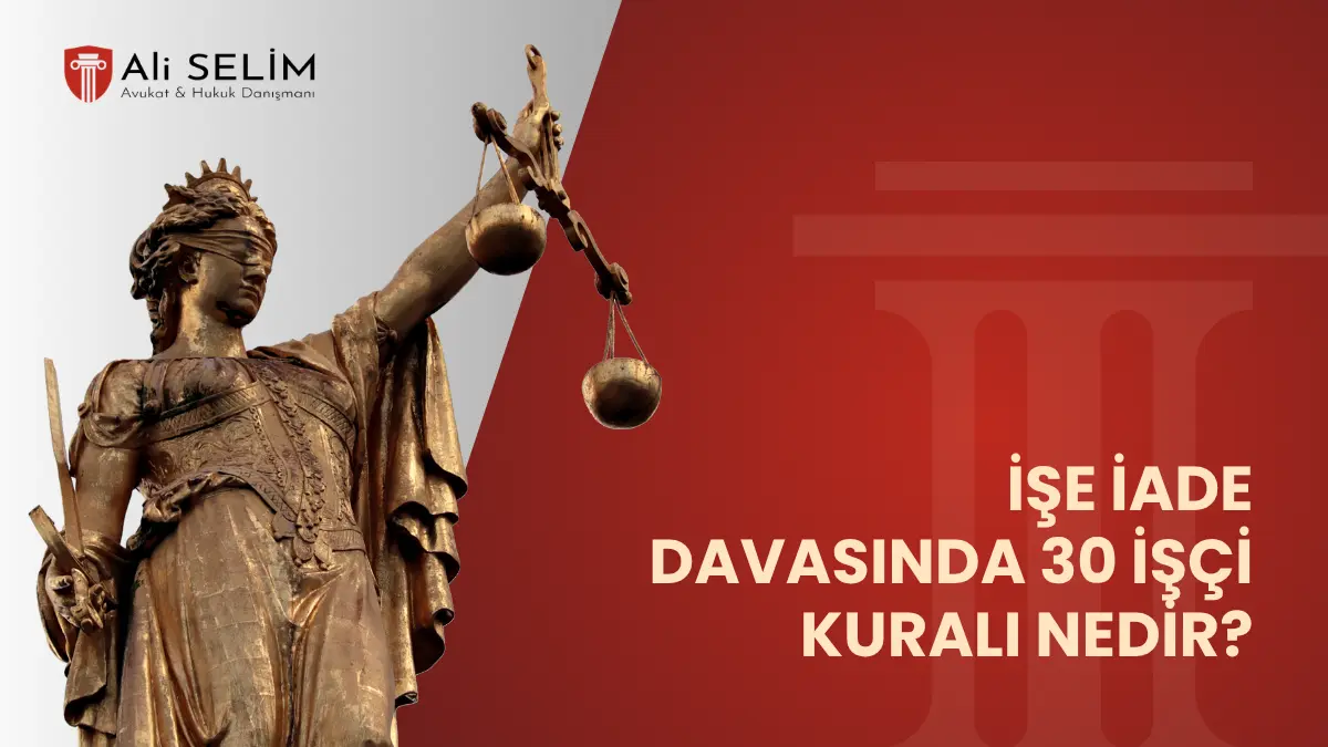 İşe iade davası açma şartı olan 30 işçi kuralı, aynı işverene bağlı şubelerdeki toplam çalışan sayısı ve iş güvencesi kapsamı dairesel şeması - Avukat Ali Selim.